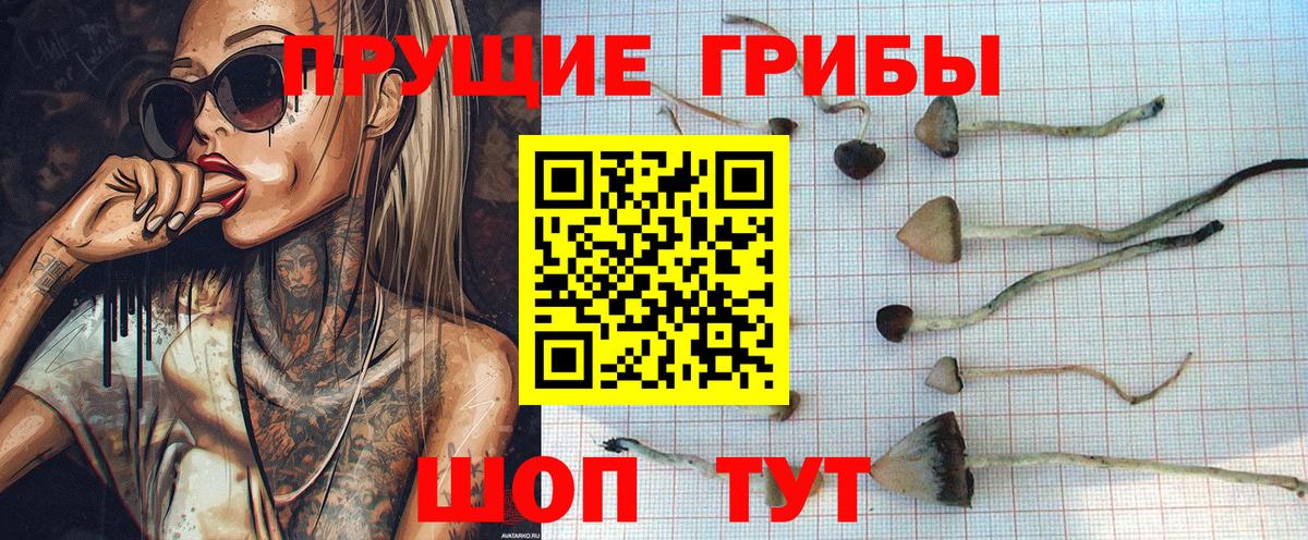 Псилоцибиновые грибы Magic Shrooms Десногорск