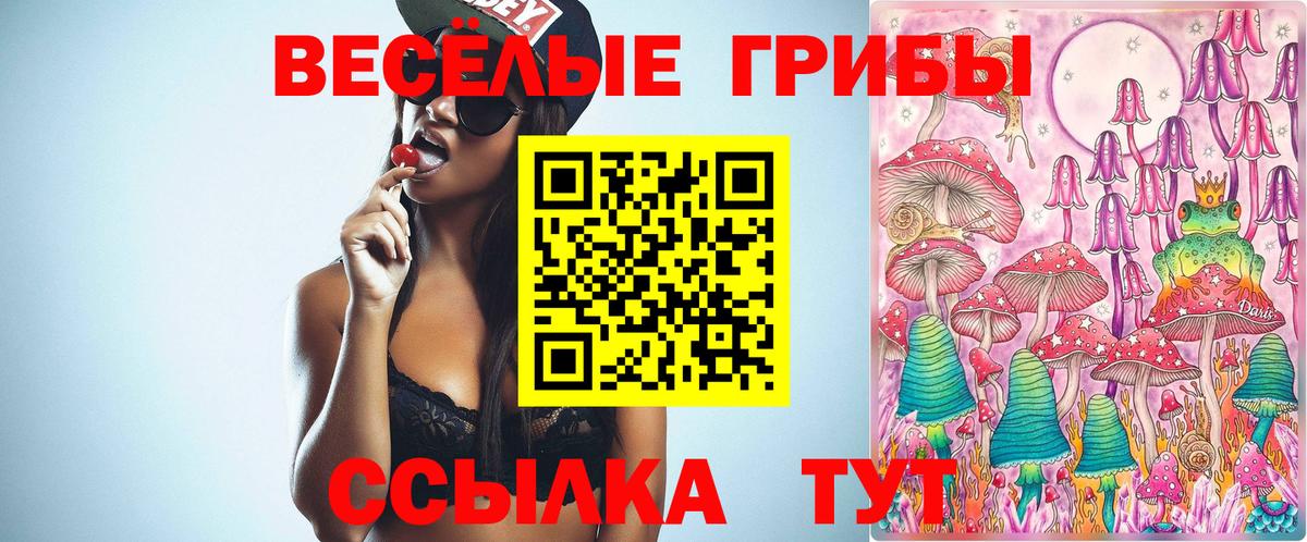 как найти наркотики  Вход с VPN  Галлюциногенные грибы Magic Shrooms  Десногорск  Псилоцибиновые грибы мицелий 